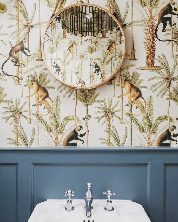 Обои с животными