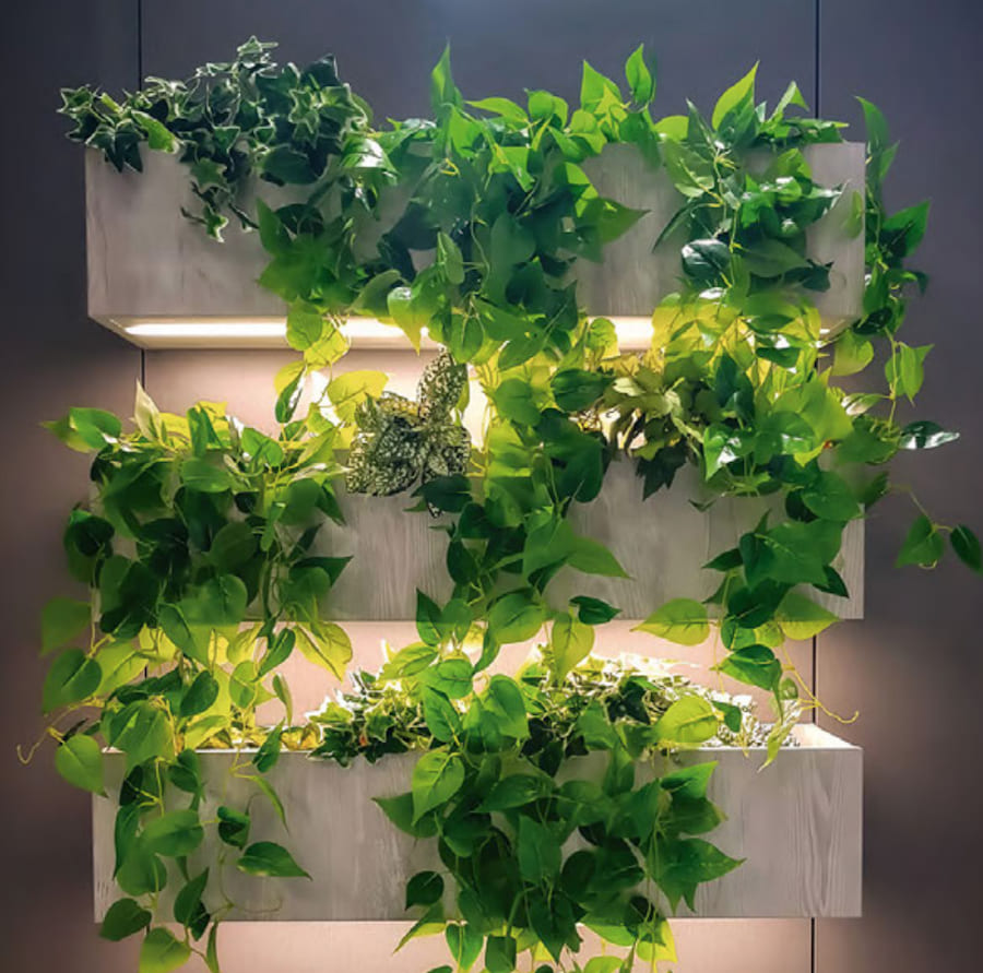 Настенные кашпо с цветами и светодиодной подсветкой