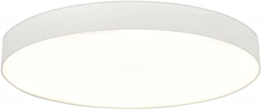 ST601.542.18 Потолочный светильник светодиодный ST Luce ST601.542.18 Белый LED 1*18W
