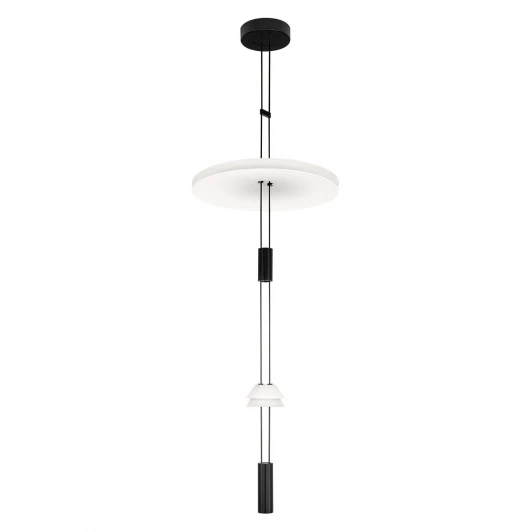 10598C Подвесной светильник светодиодный Loft It Flamingo 10598C