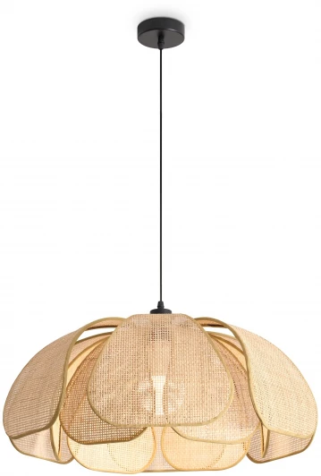 FR5529PL-01B Подвесной светильник Freya Cocoon FR5529PL-01B (220V, на проводе)