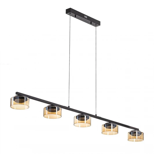 CL243251 Подвесной светильник Citilux Espace CL243251