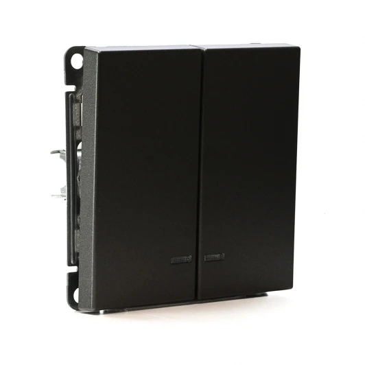 GAL000653S Выключатель двухклавишный с подсветкой (мокко) Systeme Electric GAL000653S