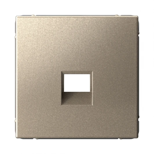 GAL000584 Накладка для компьютерной/телефонной розетки RJ-45/RJ-11 (шампань) Systeme Electric GAL000584