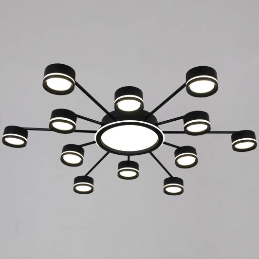 20590-0.3-6+6+1 Black Потолочная люстра Reluce 20590-0.3-6+6+1 Black