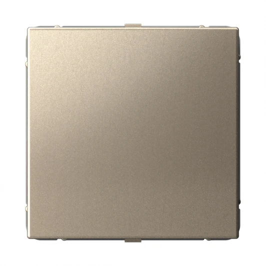 GAL000509 Заглушка (шампань) Systeme Electric GAL000509