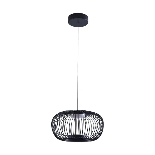 A3527SP-12BK Подвесной светильник Arte Lamp Flare A3527SP-12BK (LED, 220V, на проводе)