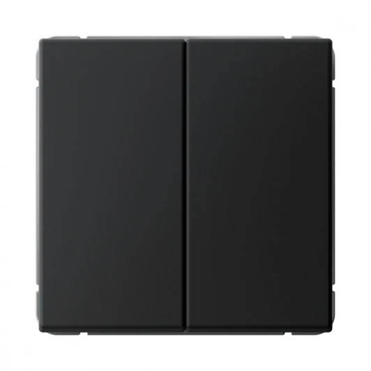 GAL001065 Переключатель двухклавишный (карбон) Systeme Electric GAL001065