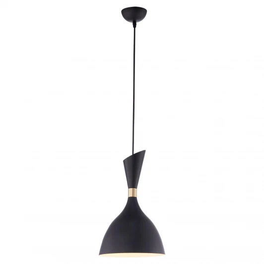SY0518 Подвесной светильник Lussole LGO Марион SY0518