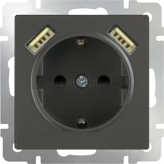 WL07-SKGS-USBx2-IP20 Акция Розетка встраиваемая с заземлением, шторками и двумя USB Werkel, серо-коричневый