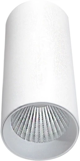DL18895R20W1W Накладной светильник Donolux Rollo DL18895R20W1W