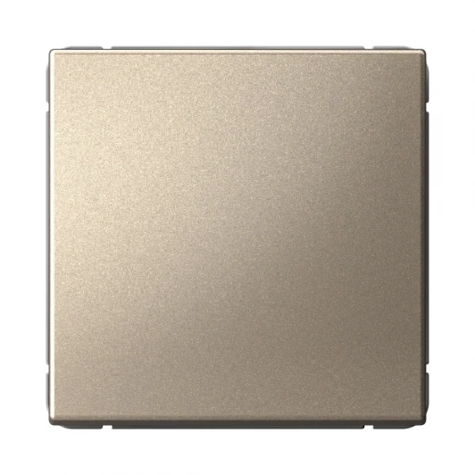 GAL000511 Выключатель одноклавишный (шампань) Systeme Electric GAL000511