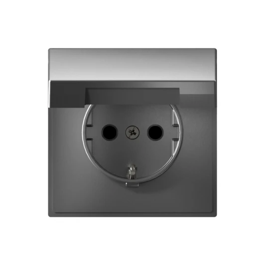 GAL000946S Розетка с заземлением, шторками и крышкой (сталь) Systeme Electric GAL000946S