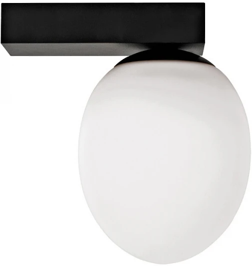 8132 Настенный светильник Nowodvorski Ice Egg C Black 8132