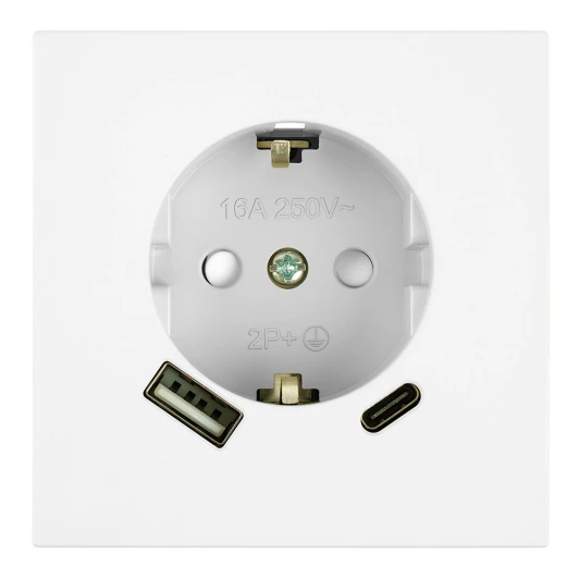 50438 Розетка 1-местная з/ш с/з 16А + USB + Type C (механизм) 250В 20W RST16-3119-01 белая магнолия Stekker Мия 50438