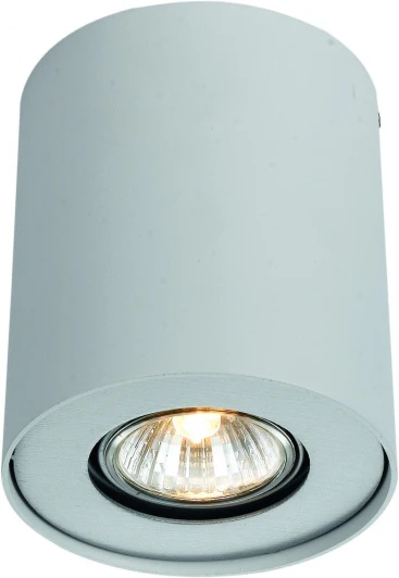A5633PL-1WH Потолочный светильник Arte Lamp Falcon A5633PL-1WH