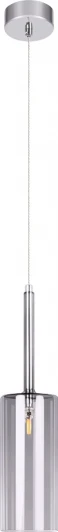10232/B Smoke Подвесные светильники Loft It Spillray 10232/B Smoke (220V, на проводе, круглые)