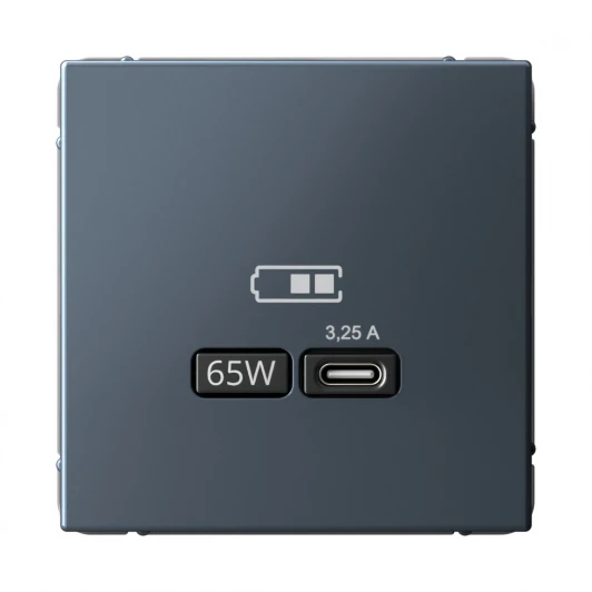 GAL000727 Розетка с быстрой зарядкой USB Type-C 65Вт (грифель) Systeme Electric GAL000727