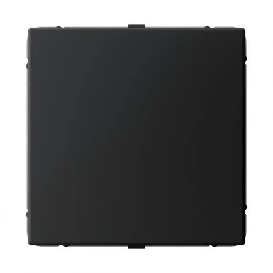 GAL001009 Заглушка (карбон) Systeme Electric GAL001009