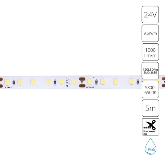 A2412008-06-6K Светодиодная лента 24V 9,6W/m 6000К 5м Arte Lamp Aqua Tape A2412008-06-6K