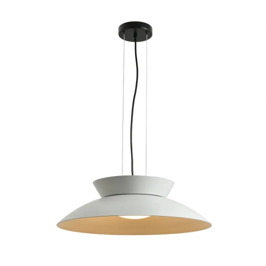 4842-1P Подвесной светильник Favourite Salver 4842-1P LEDx24W 3000/6000K