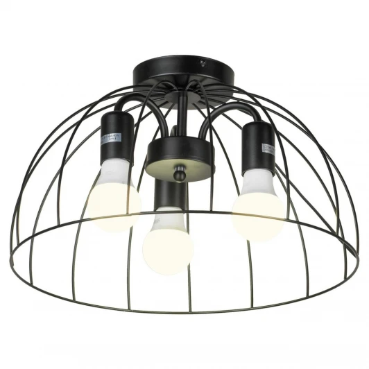 SY5128 Потолочный светильник Lussole Латис SY5128