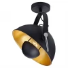 SY5289 Спот Lussole LGO Шерелвуд SY5289