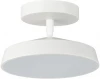 7655/12L Потолочный светильник круглый Sonex Mira White 7655/12L пластик/белый LED 12Вт 4000K D200 IP20 (220V, круглые)