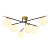 A2224PL-6BK Потолочная люстра на штанге Arte Lamp Alcor A2224PL-6BK