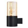 A6515AL-1BK Настенный уличный светильник Arte Lamp A6515AL-1BK (220V, круглые, IP54)