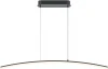 MOD243PL-L18BK Подвесной светильник Maytoni Light Reflection MOD243PL-L18BK (LED, 220V, на проводе)