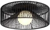 FR5405CL-01B Потолочный светильник круглый Freya Cottage FR5405CL-01B (220V, шар, круглые, клетка)