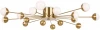 FR5242CL-16BS Потолочная люстра Freya Celebrity FR5242CL-16BS (220V, шарики)