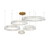 1135/17 SP-195 Подвесной светильник Divinare Renata 1135/17 SP-195 (LED, 220V, на тросе)