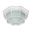 A3121PF-1WG Потолочный светильник уличный Arte Lamp Pegasus A3121PF-1WG (220V, IP44)