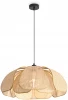 FR5529PL-01B Подвесной светильник Freya Cocoon FR5529PL-01B (220V, на проводе)