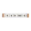 ST5004.017.20RGB Светодиодная лента 16,8W IP20 24В (5 метров) ST Luce ST5004.017.20RGB