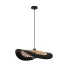 A7059SP-1BK Подвесной светильник Arte Lamp Woodstock A7059SP-1BK (220V, на проводе)