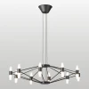 SY8047 Подвесная люстра Lussole Хопкинс SY8047