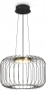 FR5398PL-L8B Подвесной светильник Freya Citrus FR5398PL-L8B (LED, 220V, на проводе, клетка)