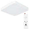 A2663PL-1WH Потолочный светильник Arte Lamp Scena A2663PL-1WH (LED, 220V, пульт управления)