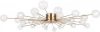 FR5242CL-24BS1 Потолочная люстра Freya Celebrity FR5242CL-24BS1 (220V, шарики)