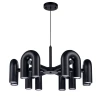 1092/06 PL-30 Подвесная люстра Divinare Twins 1092/06 PL-30 (LED, 220V, на проводе)