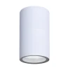 A3302PF-1WH Потолочный уличный светильник Arte Lamp Mistero A3302PF-1WH (220V, круглые, IP65)