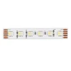 ST5005.318.20RGBW.1 Светодиодная лента 18Вт/м 3000К 105Лм/м IP20 24B ST Luce ST5005.318.20RGBW.1