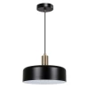 A7052SP-1BK Подвесной светильник Arte Lamp Skat A7052SP-1BK (220V, на проводе, круглые)