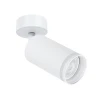 A2365PL-1WH Спот Arte Lamp Imai A2365PL-1WH (220V, круглые)
