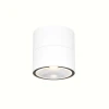 O310CL-L7W3K Уличный потолочный светильник Maytoni Spin O310CL-L7W3K (LED, 220V, круглые, IP54)