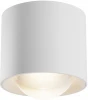 C217CL-15W3K-W Накладной потолочный светильник Maytoni Lens C217CL-15W3K-W