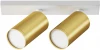 C051CL-U-2WMG Потолочный светильник FOCUS S GU10 2x10Вт Maytoni Technical C051CL-U-2WMG (220V, круглые)